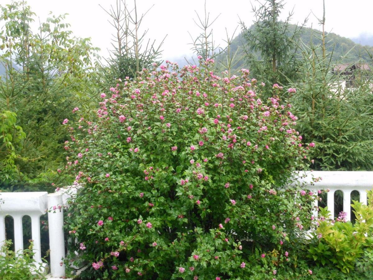 Villa Romy Bad Ischl Kültér fotó